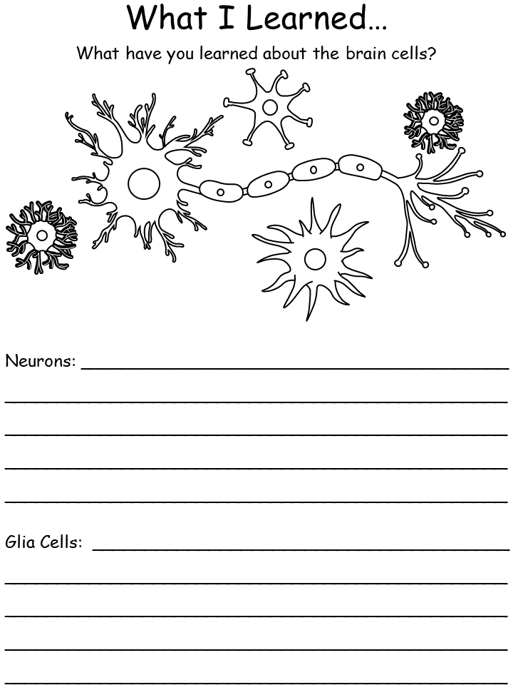 brain cells what I learned worksheet