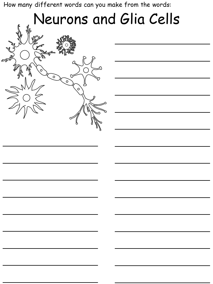 brain cells wordmine worksheet