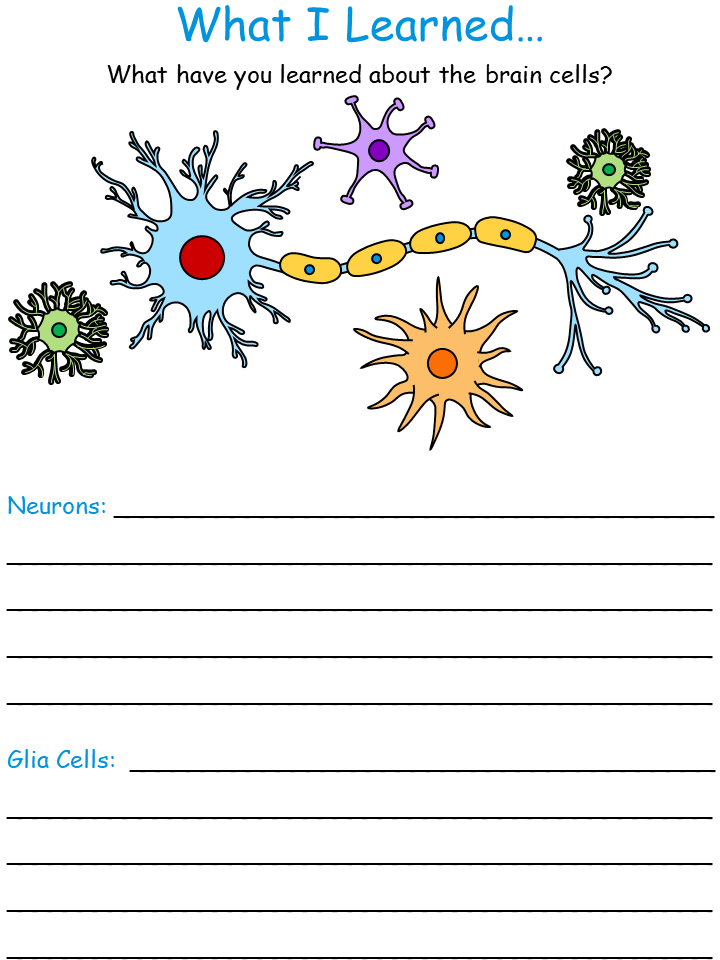 brain cells what I learned worksheet