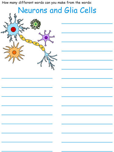 brain cells word mine worksheet